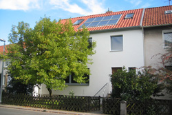 prokekt 1 vorn